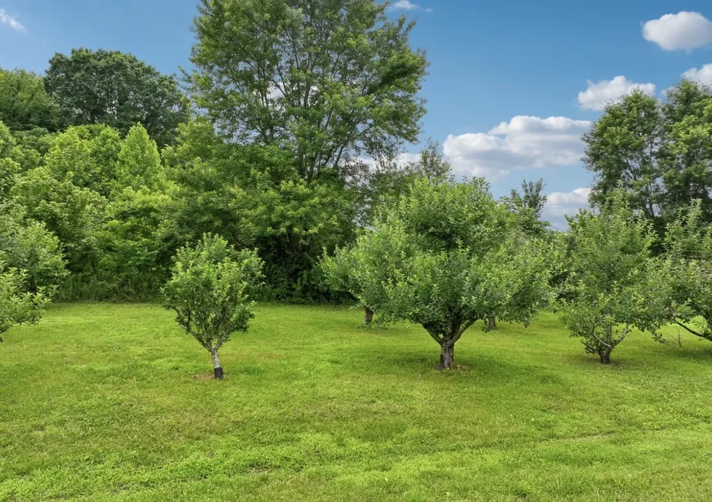 574 Hayes Ridge Road Lancaster TN 38569
