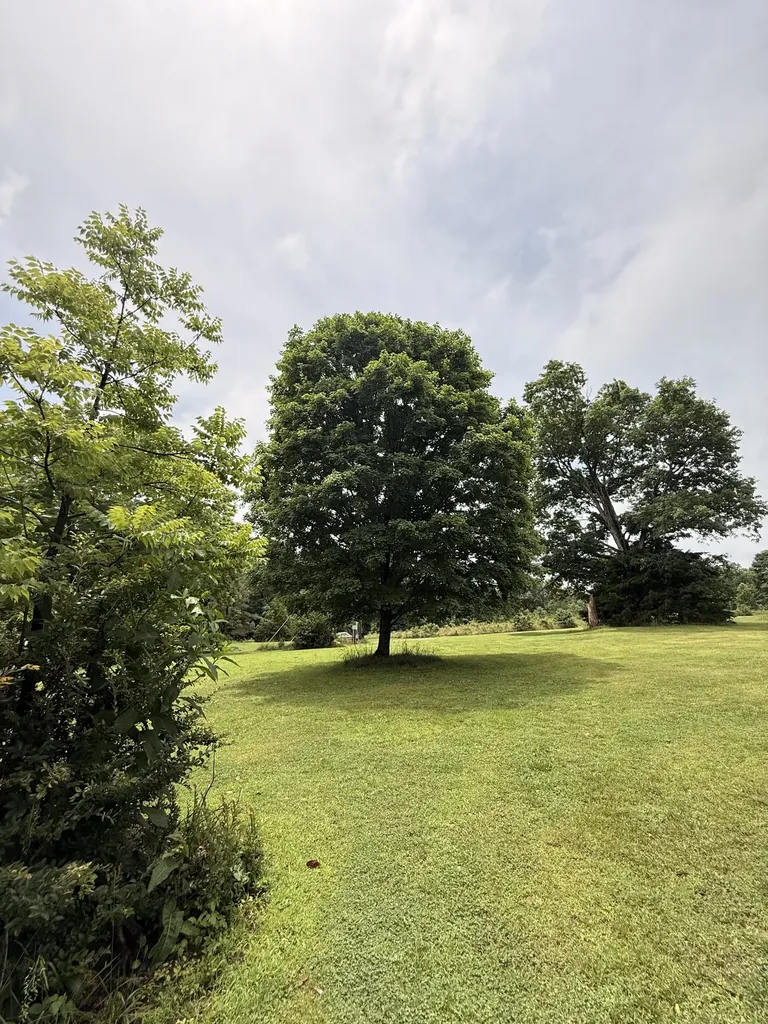 7139 Kingston Road Fairview TN 37062
