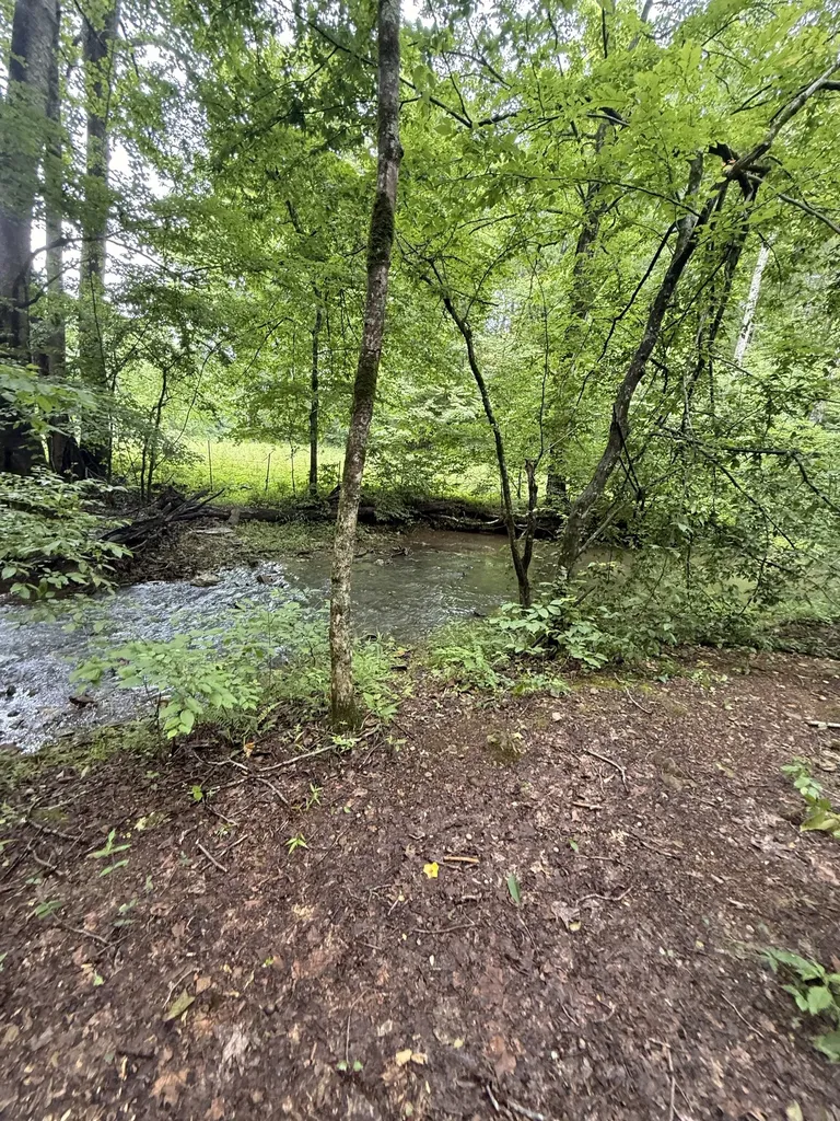 7139 Kingston Road Fairview TN 37062