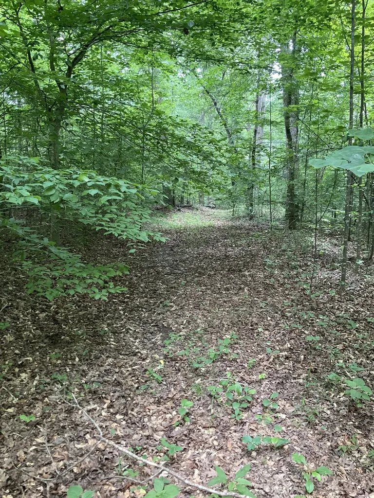 0 Fergus Lane Tullahoma TN 37388