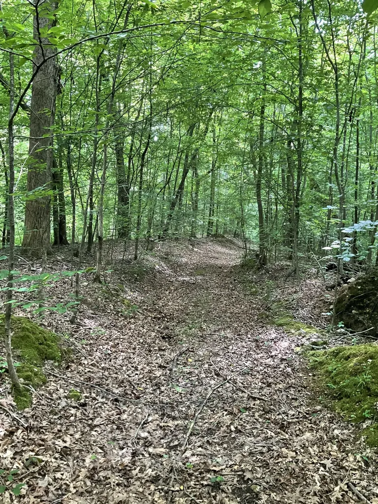 0 Fergus Lane Tullahoma TN 37388