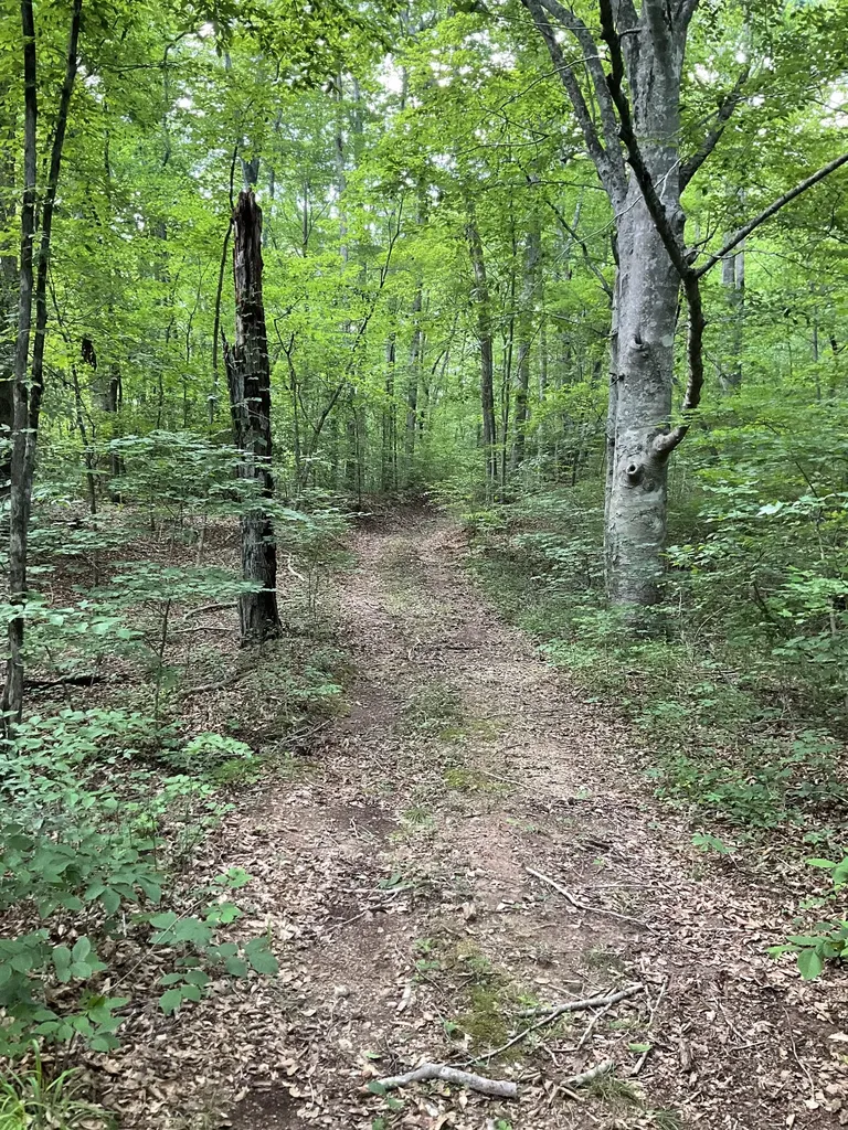 0 Fergus Lane Tullahoma TN 37388