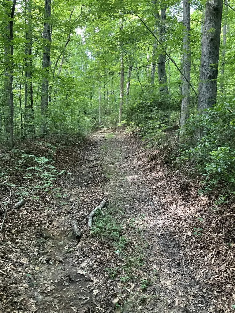 0 Fergus Lane Tullahoma TN 37388