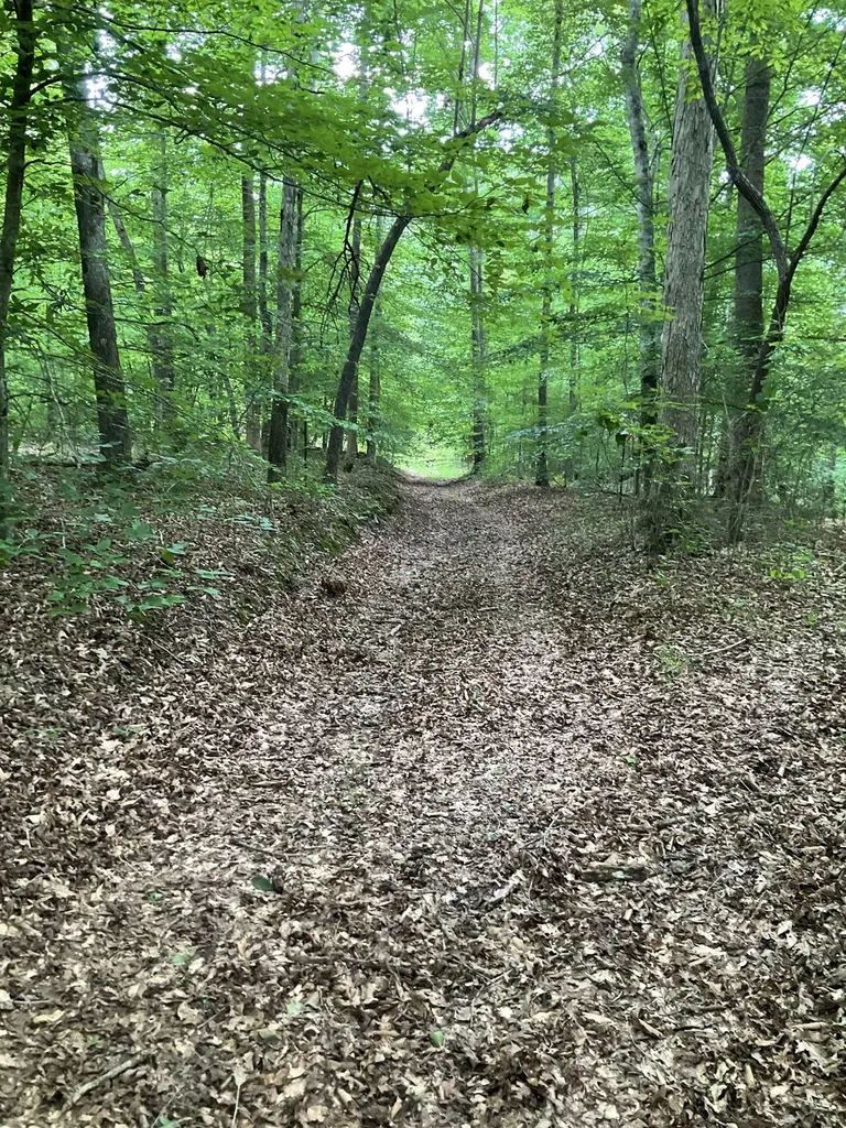 0 Fergus Lane Tullahoma TN 37388