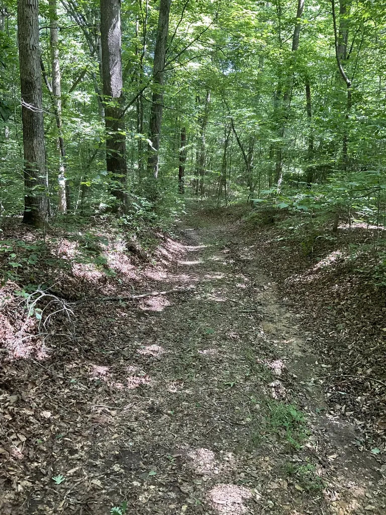 0 Fergus Lane Tullahoma TN 37388