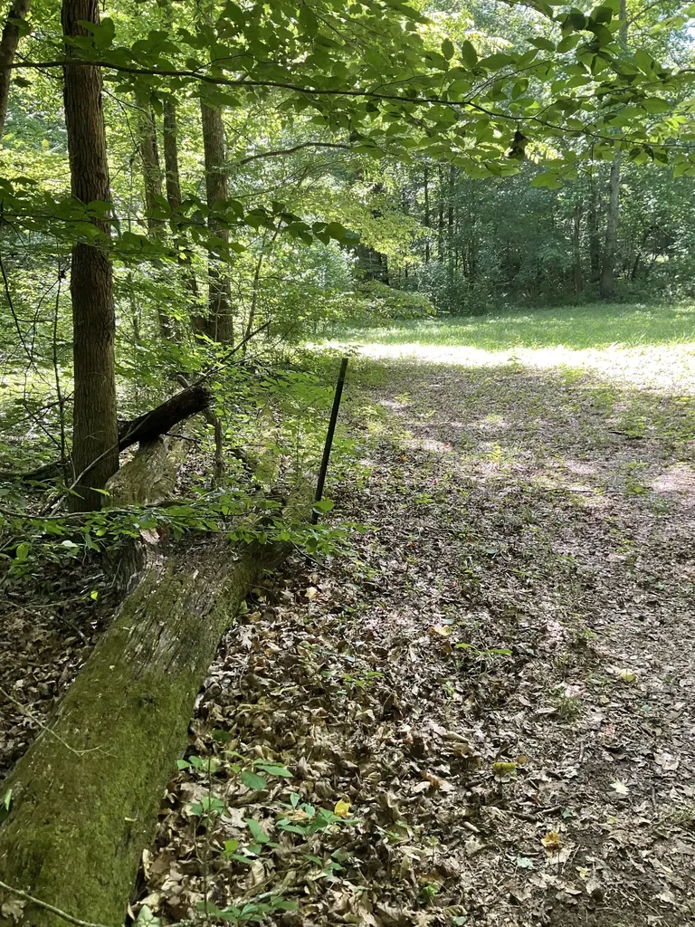 0 Fergus Lane Tullahoma TN 37388
