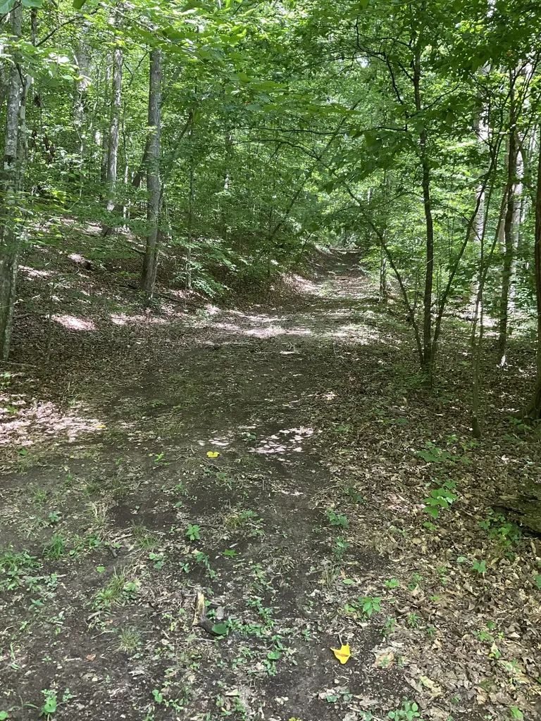 0 Fergus Lane Tullahoma TN 37388
