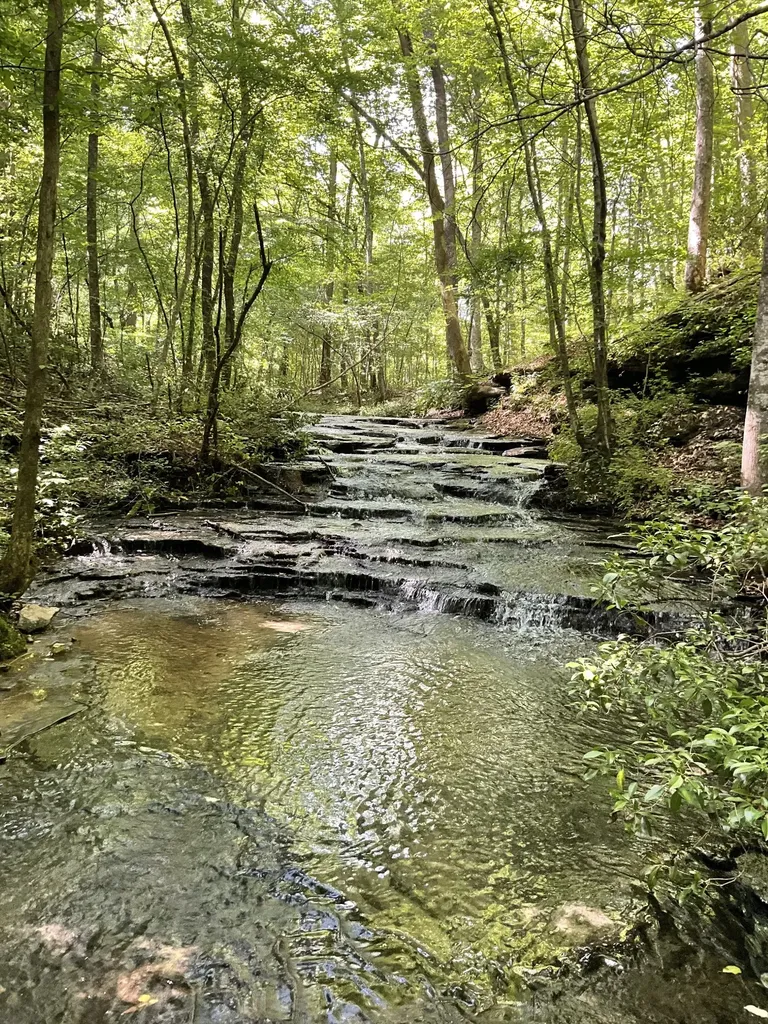 0 Fergus Lane Tullahoma TN 37388