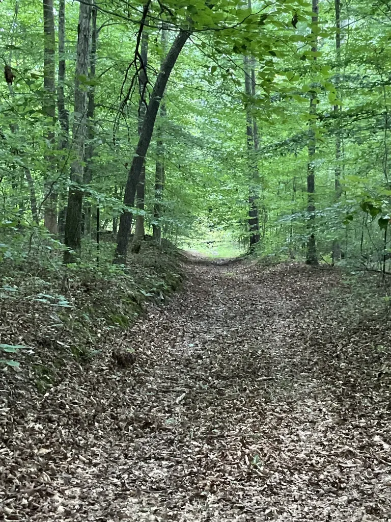 0 Fergus Lane Tullahoma TN 37388