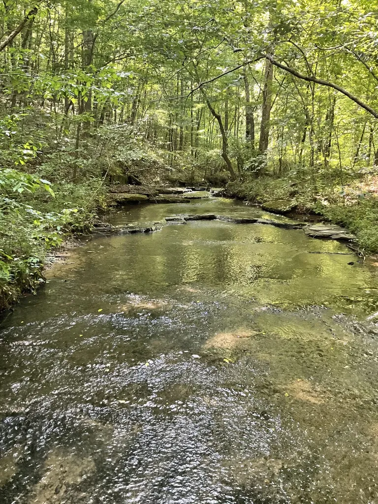 0 Fergus Lane Tullahoma TN 37388