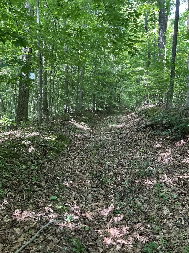 0 Fergus Lane Tullahoma TN 37388