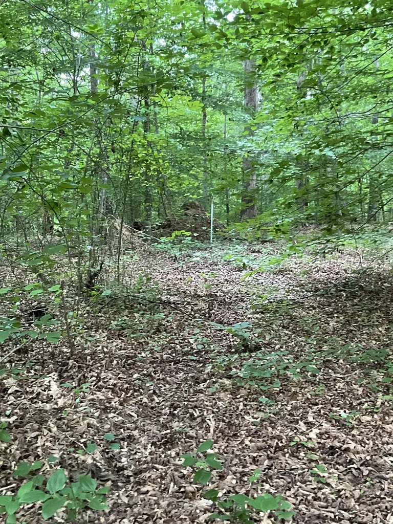 0 Fergus Lane Tullahoma TN 37388