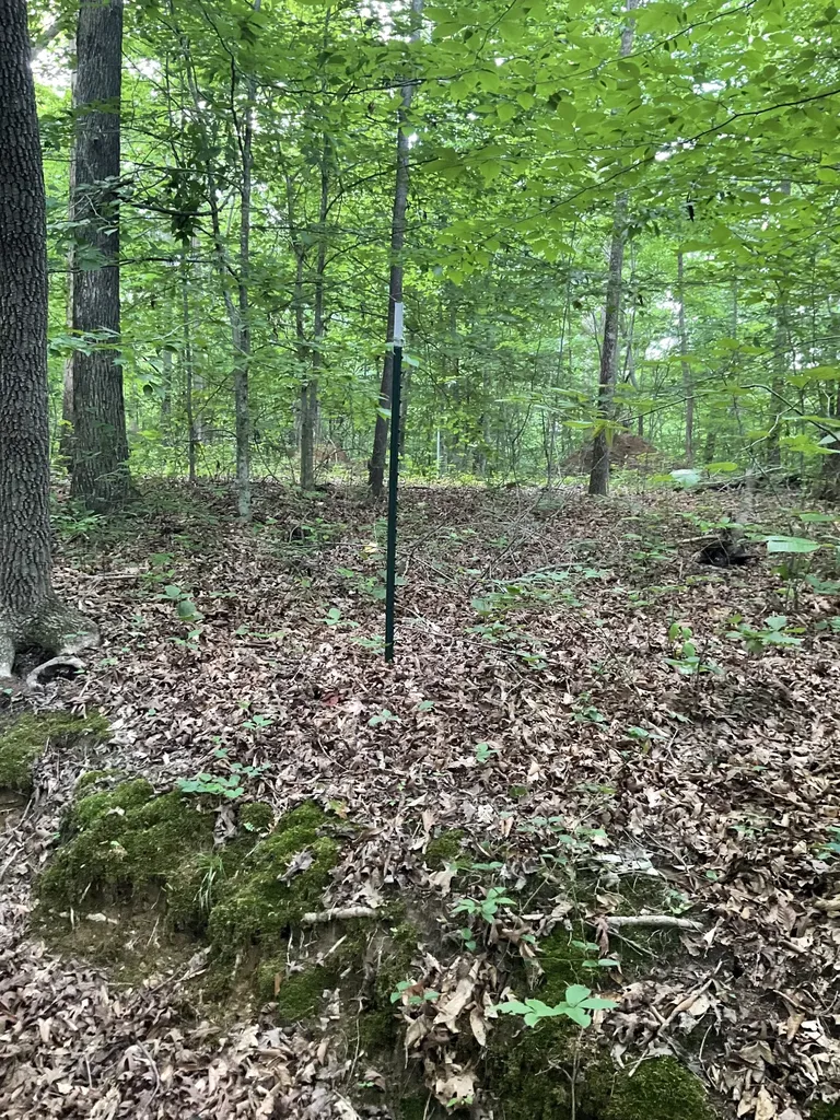 0 Fergus Lane Tullahoma TN 37388