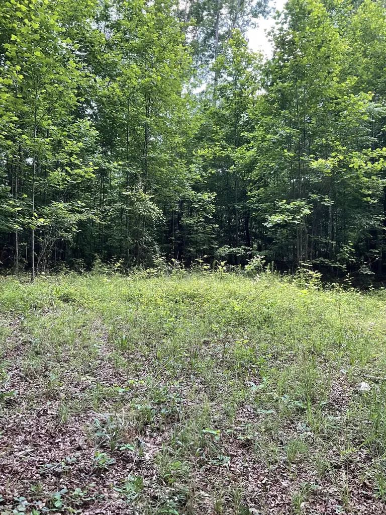 0 Fergus Lane Tullahoma TN 37388