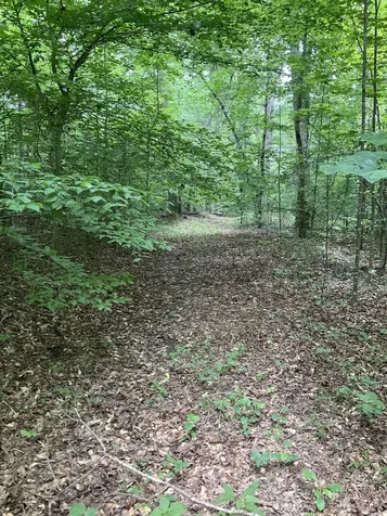 0 Fergus Lane Tullahoma TN 37388