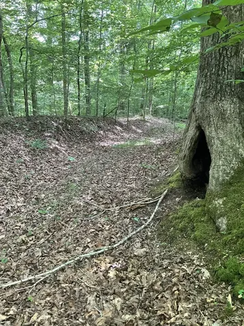 0 Fergus Lane Tullahoma TN 37388