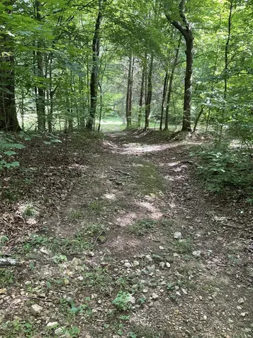 0 Fergus Lane Tullahoma TN 37388