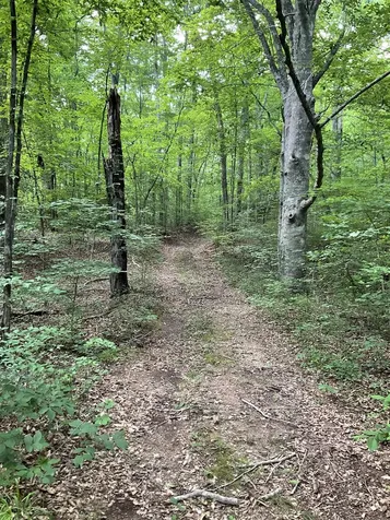 0 Fergus Lane Tullahoma TN 37388