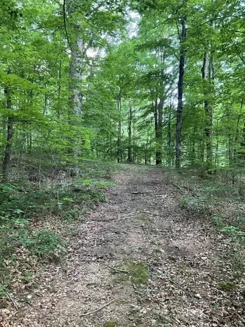 0 Fergus Lane Tullahoma TN 37388