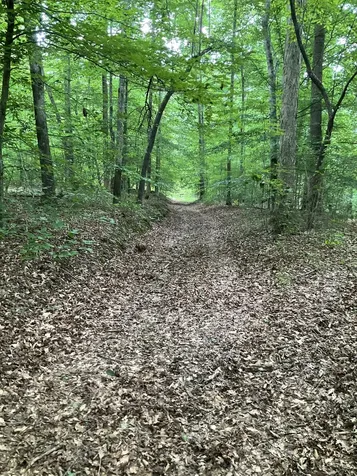 0 Fergus Lane Tullahoma TN 37388