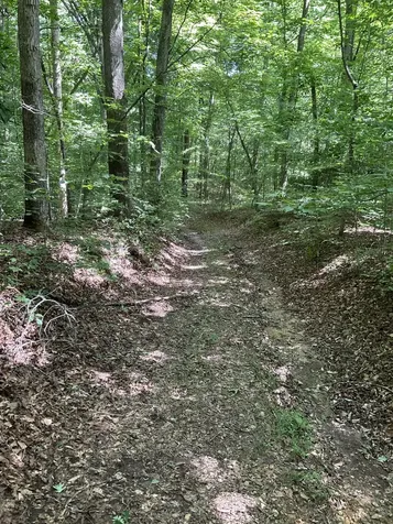 0 Fergus Lane Tullahoma TN 37388