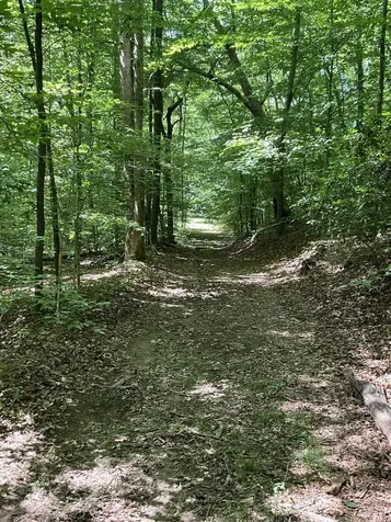 0 Fergus Lane Tullahoma TN 37388