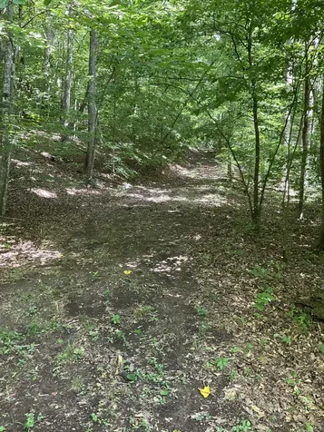 0 Fergus Lane Tullahoma TN 37388