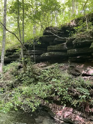 0 Fergus Lane Tullahoma TN 37388