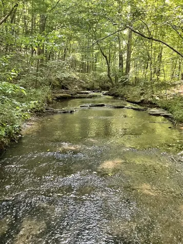 0 Fergus Lane Tullahoma TN 37388