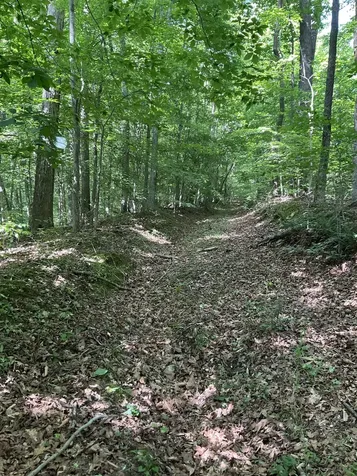 0 Fergus Lane Tullahoma TN 37388