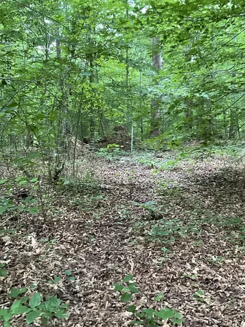 0 Fergus Lane Tullahoma TN 37388