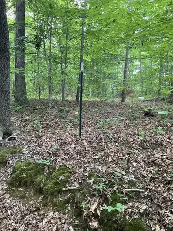 0 Fergus Lane Tullahoma TN 37388
