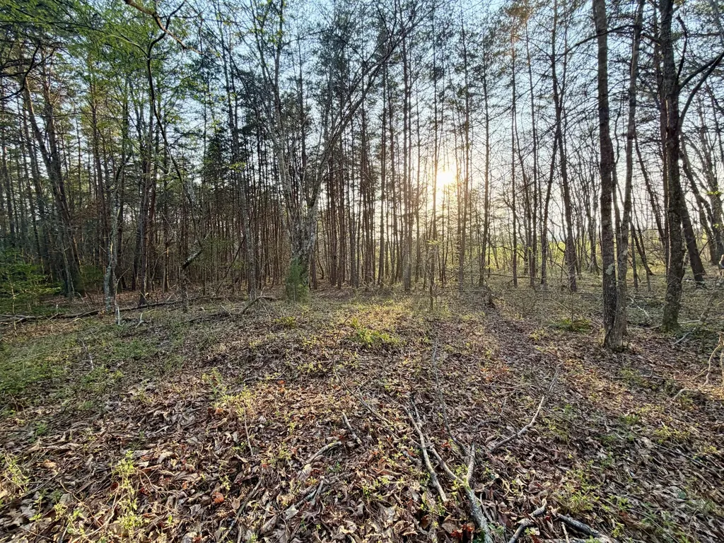 1 Nashville Highway Deer Lodge TN 37726