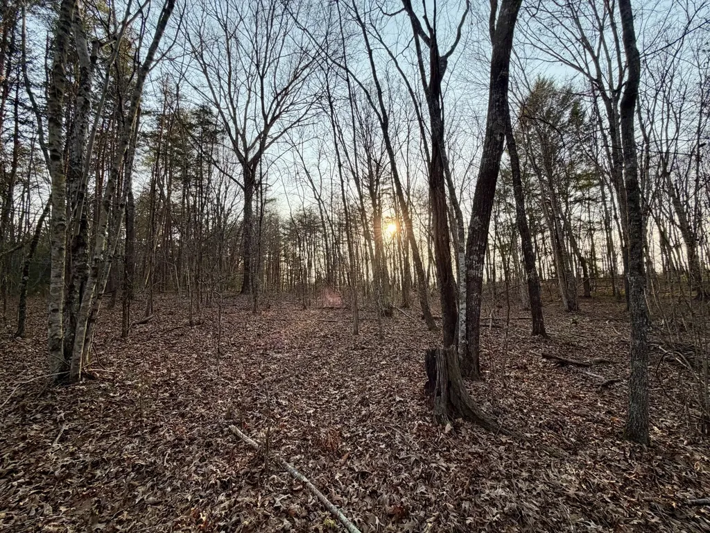 1 Nashville Highway Deer Lodge TN 37726