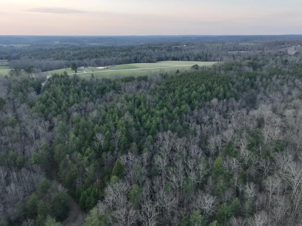 1 Nashville Highway Deer Lodge TN 37726