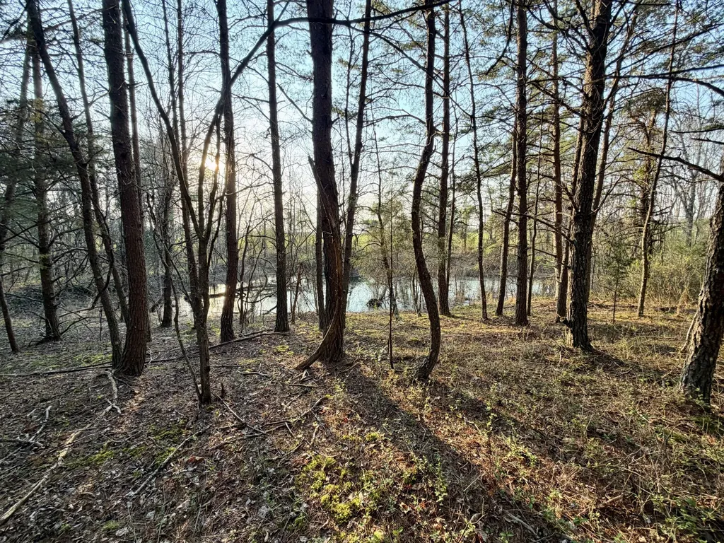 1 Nashville Highway Deer Lodge TN 37726