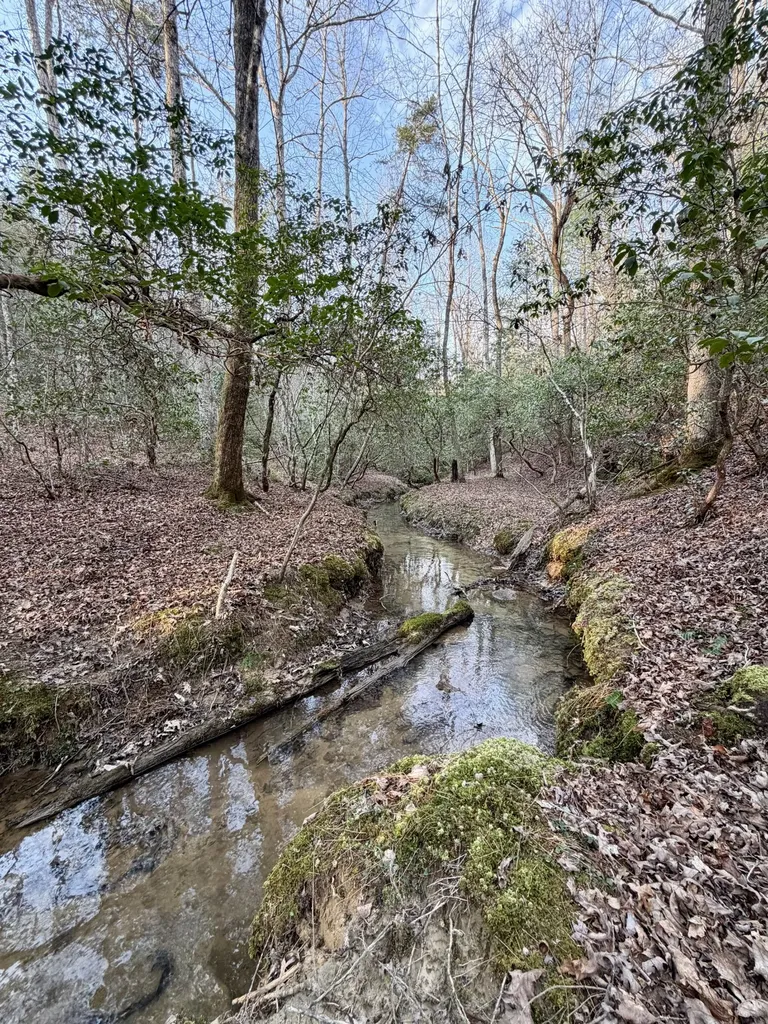 1 Nashville Highway Deer Lodge TN 37726