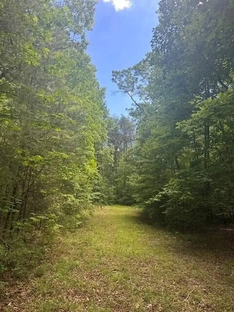 43 Bluffs Woods Altamont TN 37301