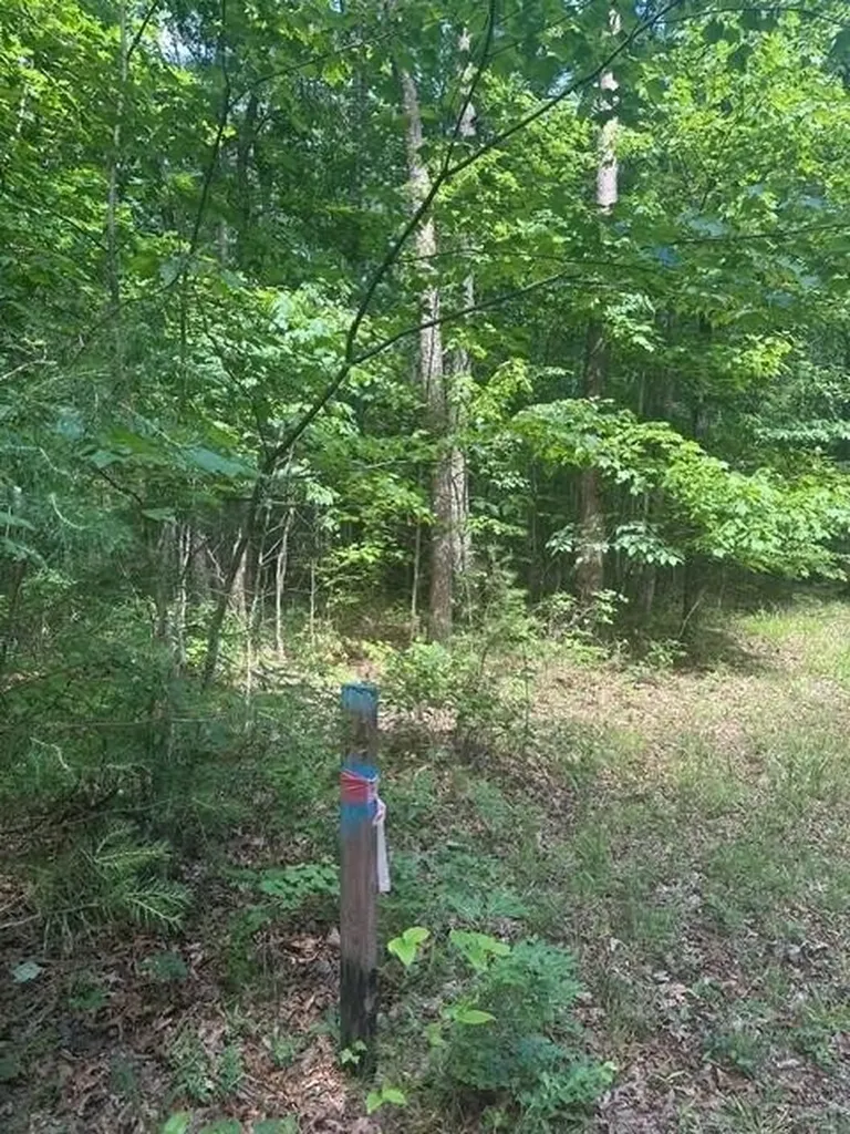 43 Bluffs Woods Altamont TN 37301