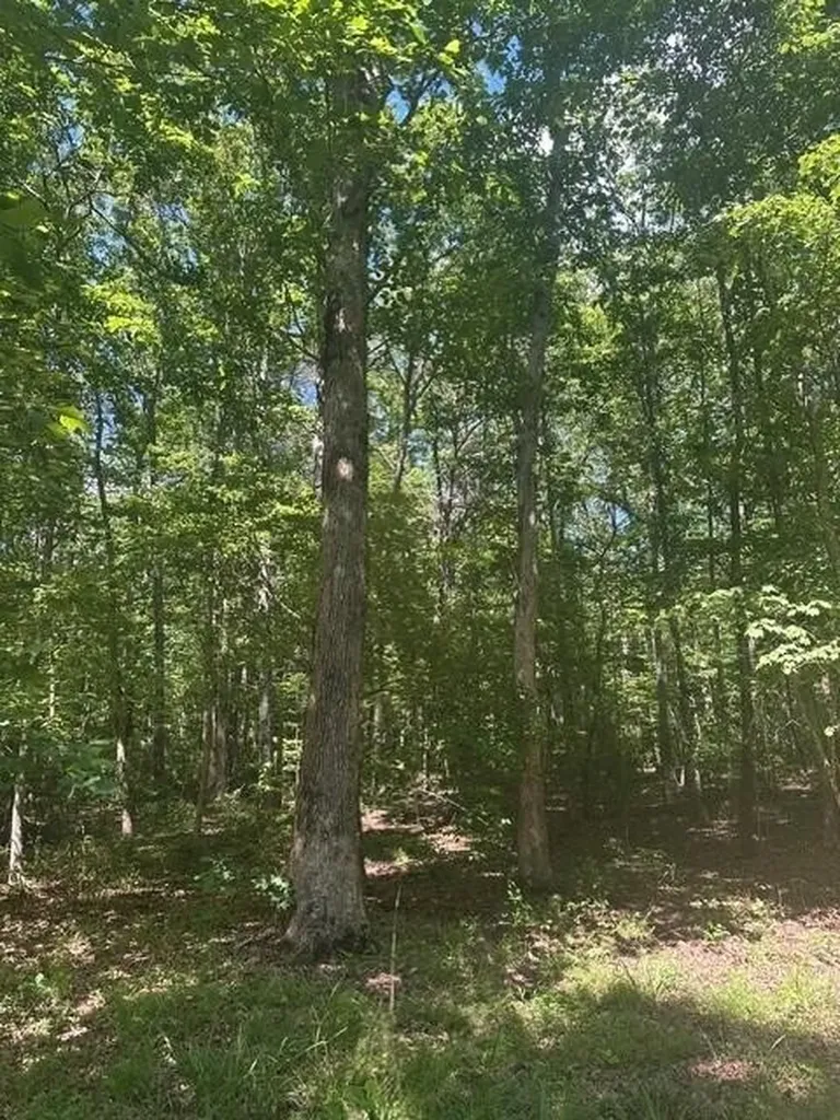 43 Bluffs Woods Altamont TN 37301