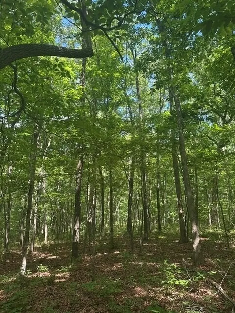 43 Bluffs Woods Altamont TN 37301