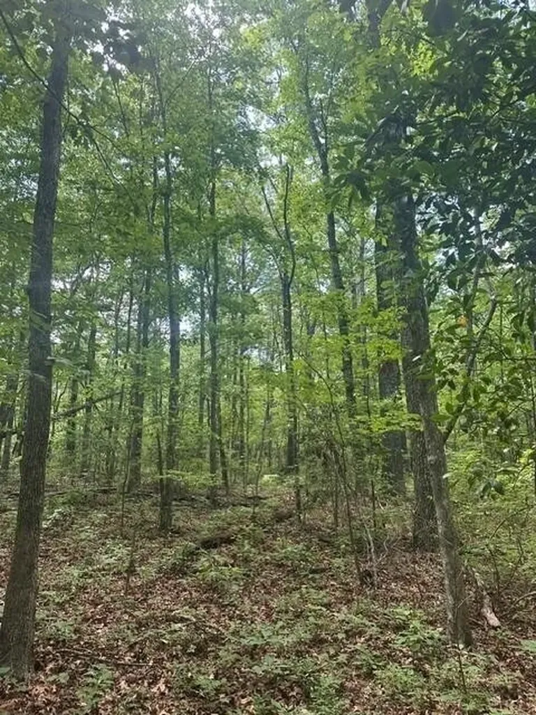 43 Bluffs Woods Altamont TN 37301