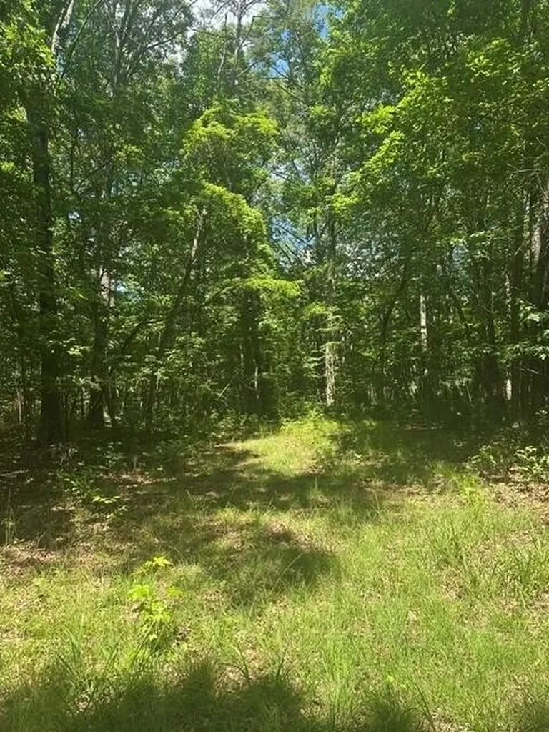43 Bluffs Woods Altamont TN 37301