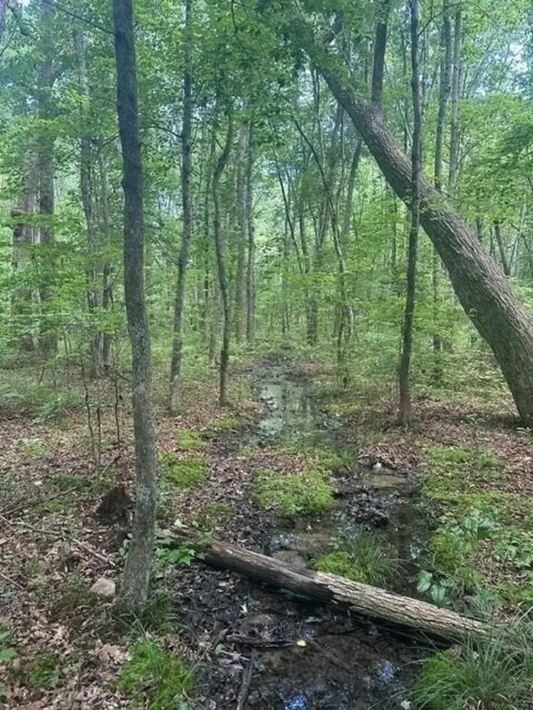 43 Bluffs Woods Altamont TN 37301