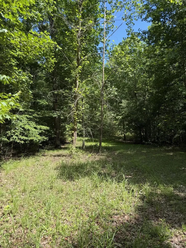 43 Bluffs Woods Altamont TN 37301