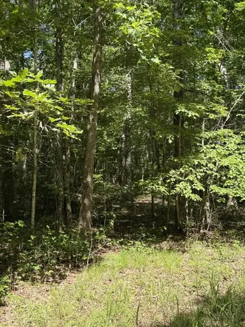 43 Bluffs Woods Altamont TN 37301