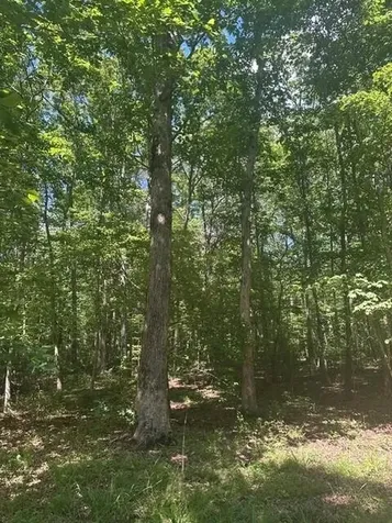 43 Bluffs Woods Altamont TN 37301