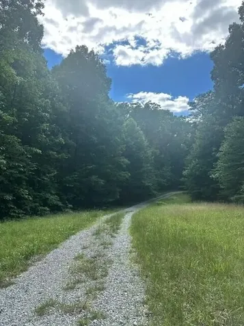 43 Bluffs Woods Altamont TN 37301