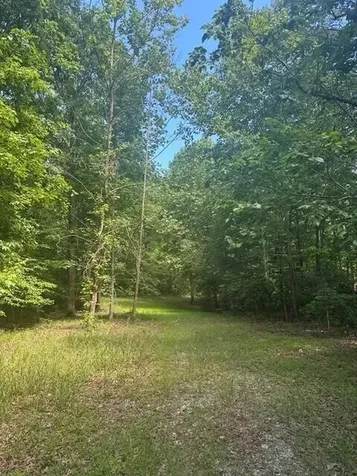 43 Bluffs Woods Altamont TN 37301