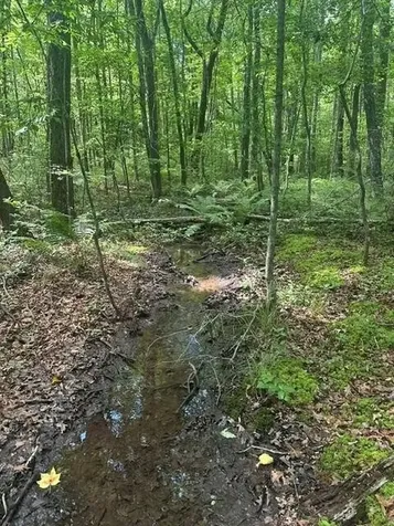 43 Bluffs Woods Altamont TN 37301